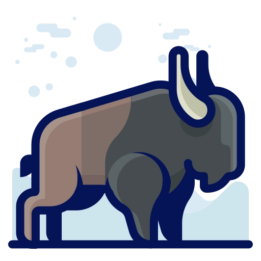Charge Buffalo